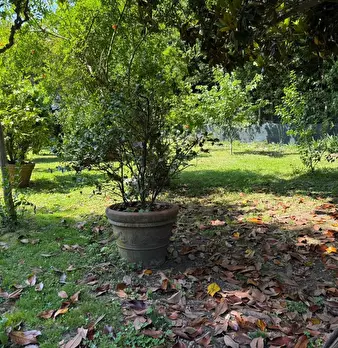 Foto annuncio 4