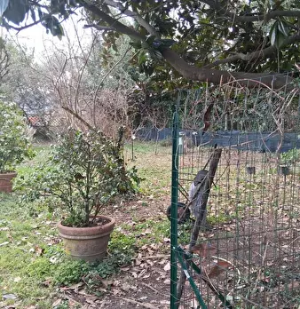 Foto annuncio 30