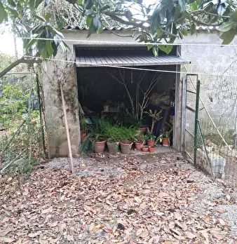 Foto annuncio 29