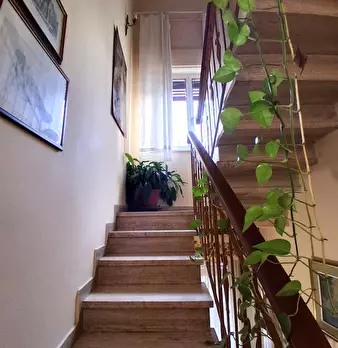 Foto annuncio 23