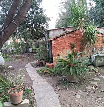 Foto annuncio 7