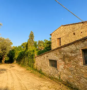 Foto annuncio 5