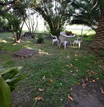 Foto annuncio 27