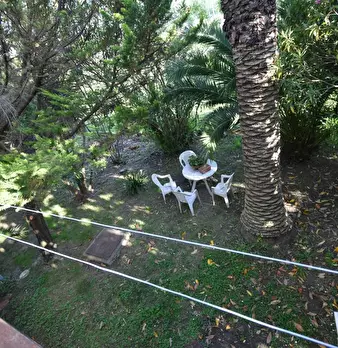 Foto annuncio 6