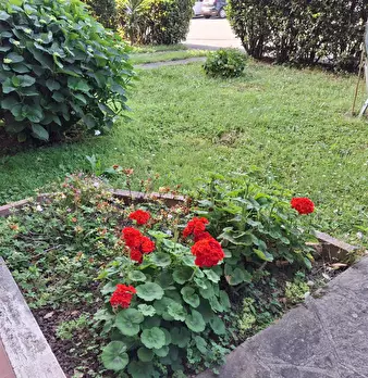 Foto annuncio 24