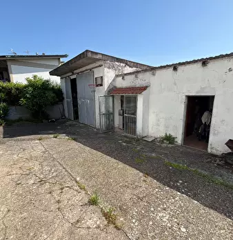 Foto annuncio 3