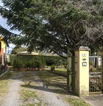 Foto annuncio 1