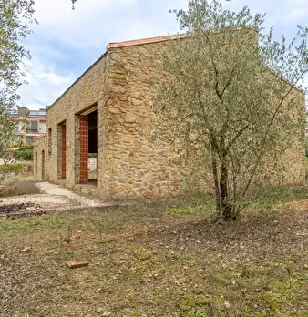 Foto annuncio 30