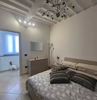 Foto annuncio 11