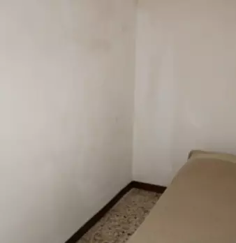 Foto annuncio 19