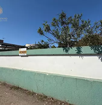 Foto annuncio 15