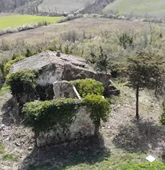 Foto annuncio 7