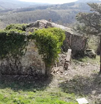 Foto annuncio 5