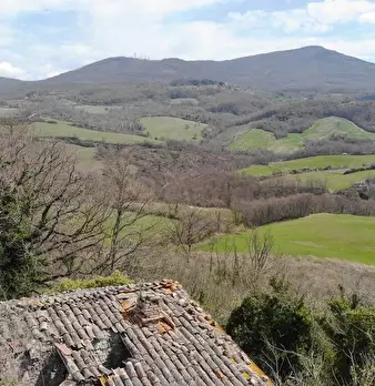 Foto annuncio 4
