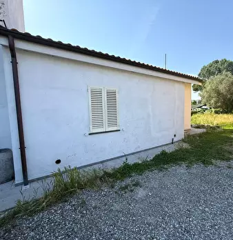 Foto annuncio 6