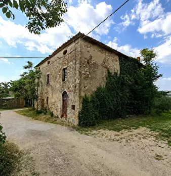 Foto annuncio 7