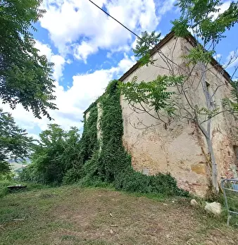 Foto annuncio 5
