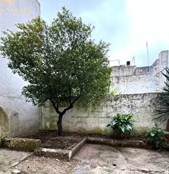 Foto annuncio 1
