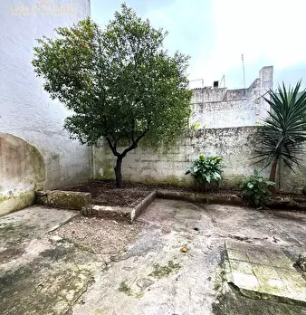 Foto annuncio 4