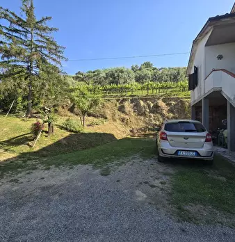 Foto annuncio 5