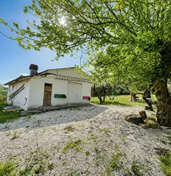 Foto annuncio 2