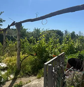 Foto annuncio 4
