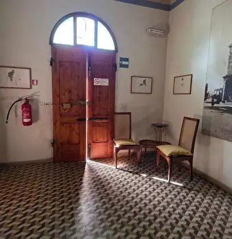 Foto annuncio 12