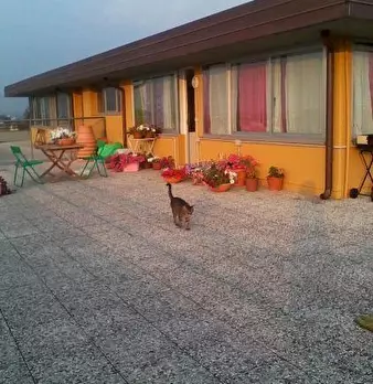Foto annuncio 8