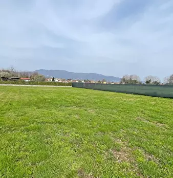 Foto annuncio 59