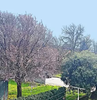 Foto annuncio 54