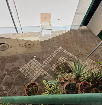 Foto annuncio 7
