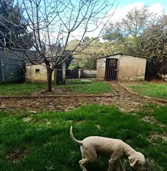 Foto annuncio 6