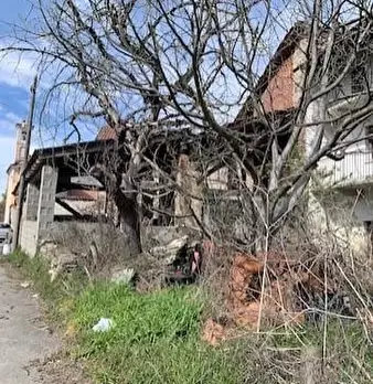 Foto annuncio 1
