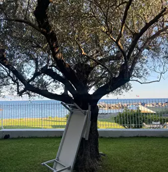 Foto annuncio 12