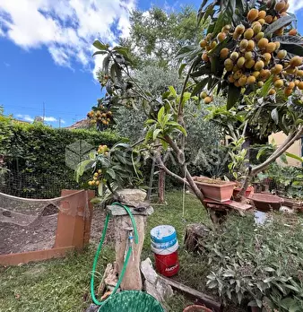 Foto annuncio 40