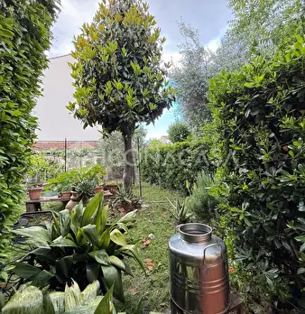Foto annuncio 42