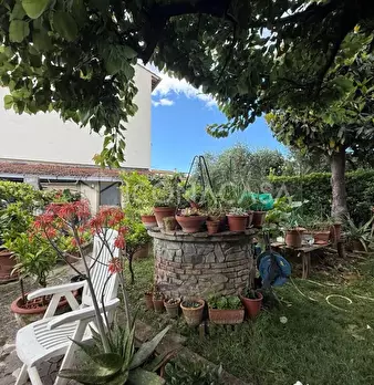 Foto annuncio 44
