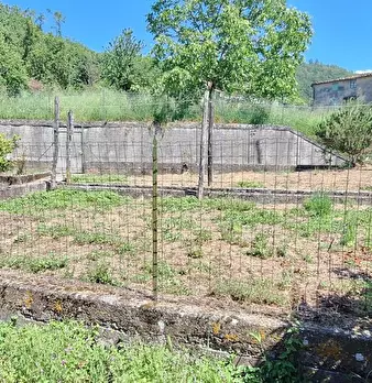 Foto annuncio 6