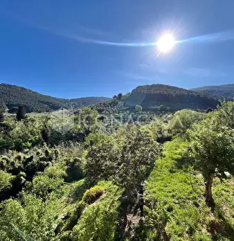 Foto annuncio 21