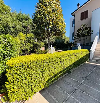Foto annuncio 36