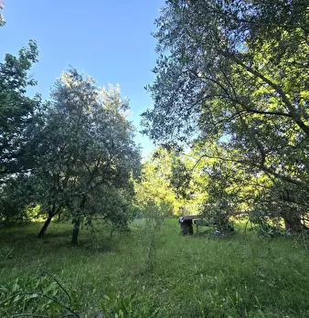 Foto annuncio 8