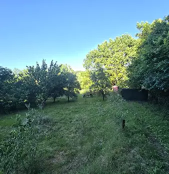 Foto annuncio 11