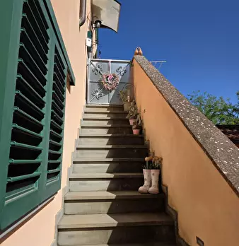 Foto annuncio 48