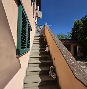 Foto annuncio 47