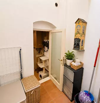 Foto annuncio 5