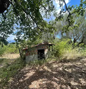Foto annuncio 17