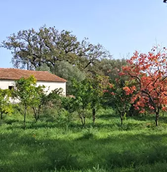 Foto annuncio 8