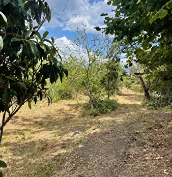 Foto annuncio 31