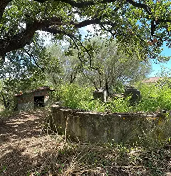 Foto annuncio 30