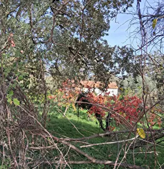 Foto annuncio 58